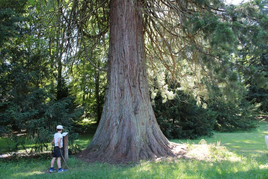 Arboretum du Parc Thermal