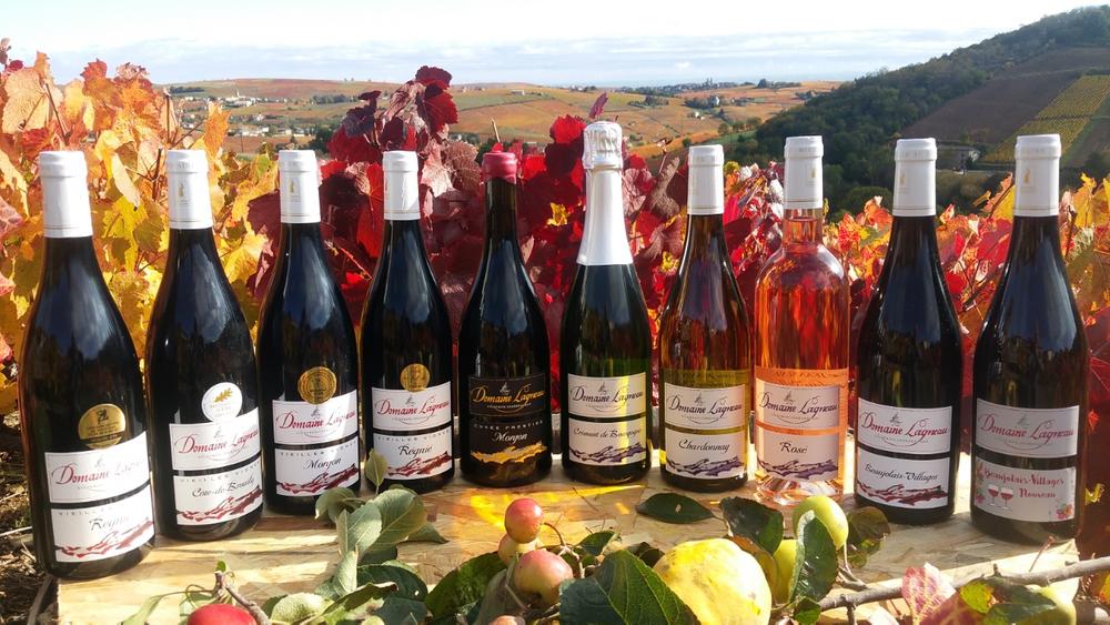 Gamme Domaine Lagneau Didier