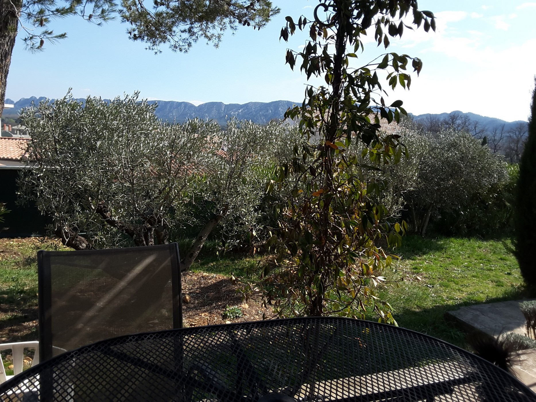 Mas Clair de Lune studio 4 - photo 5