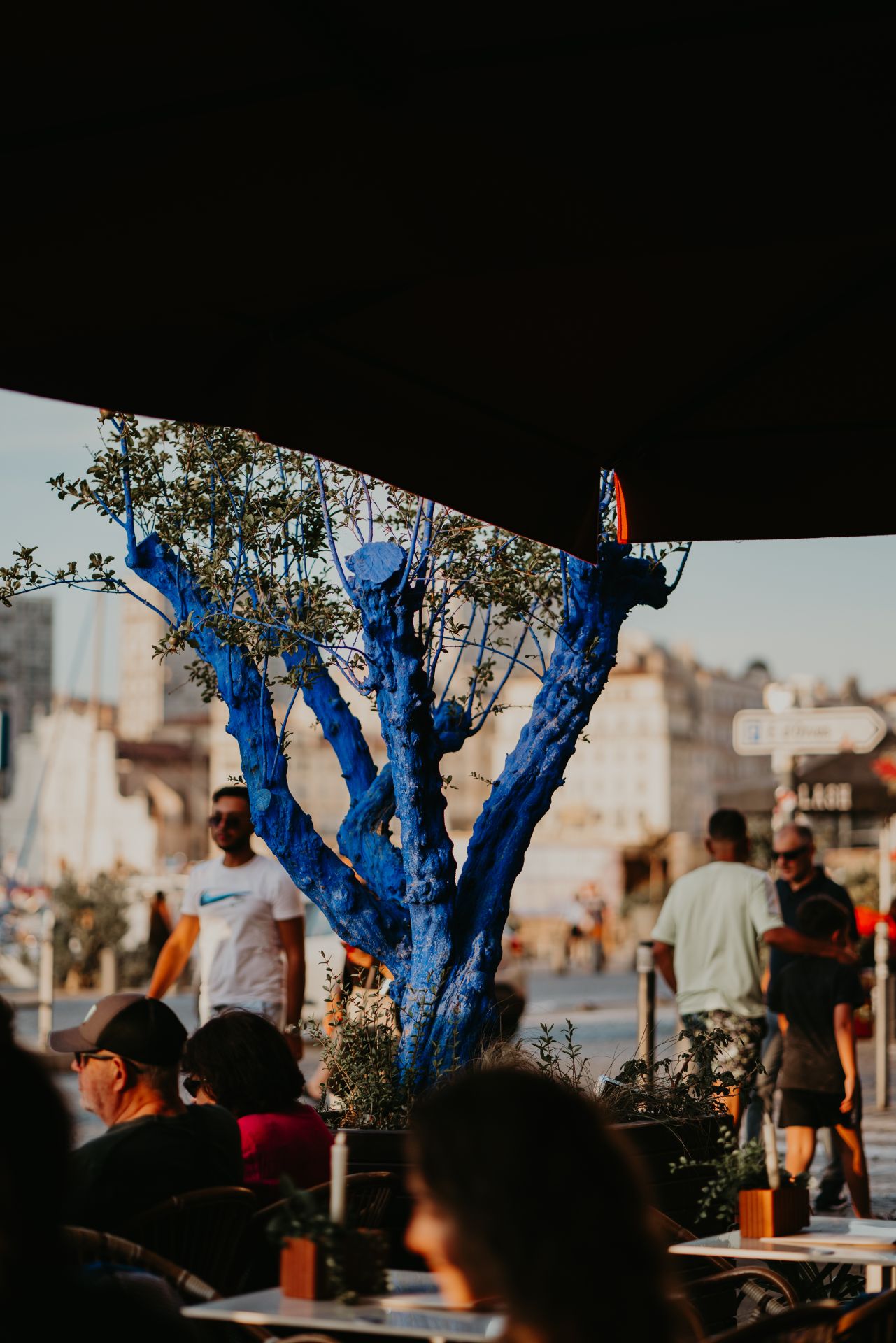 L'arbre bleu