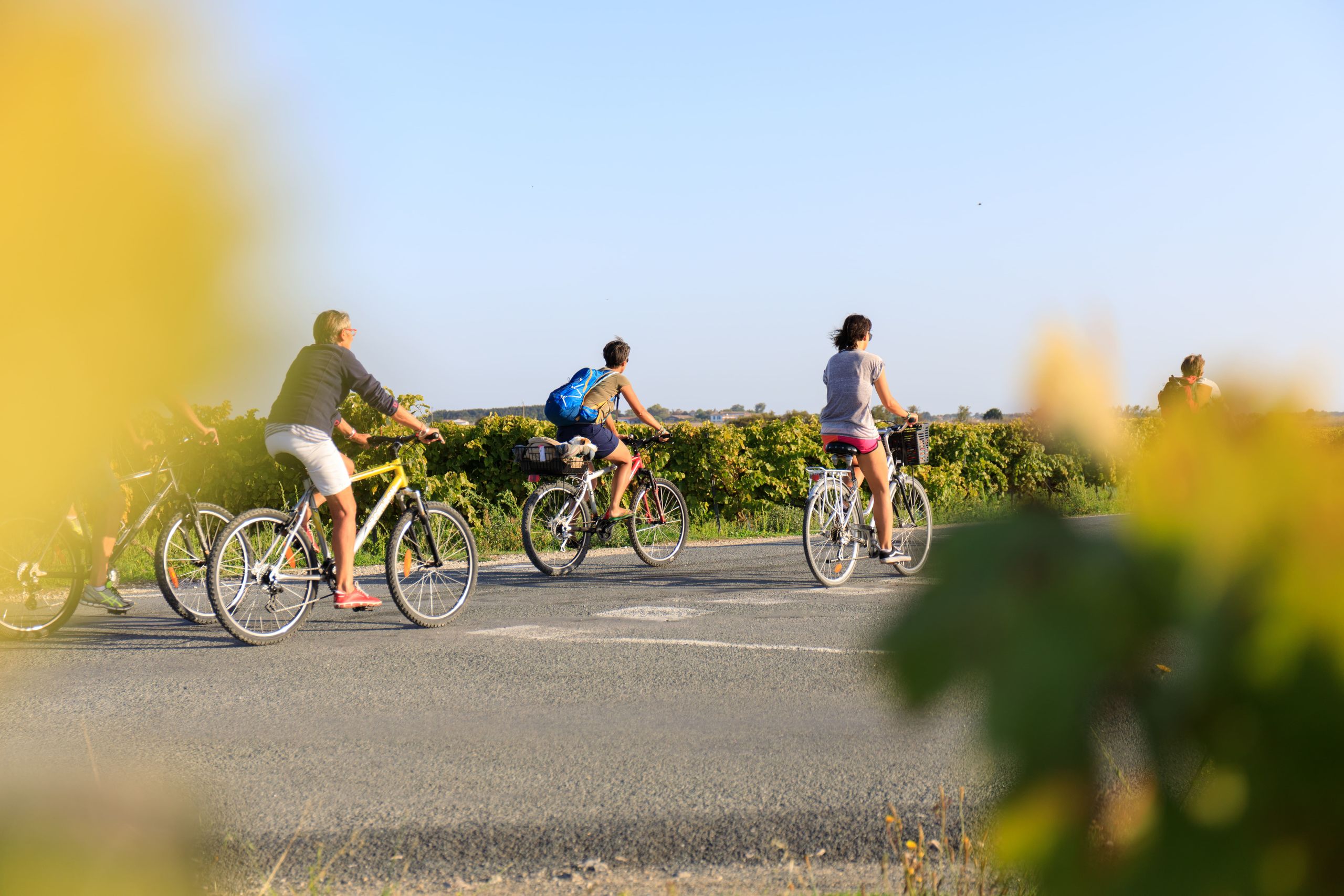 Chemins en campagne à vélo
