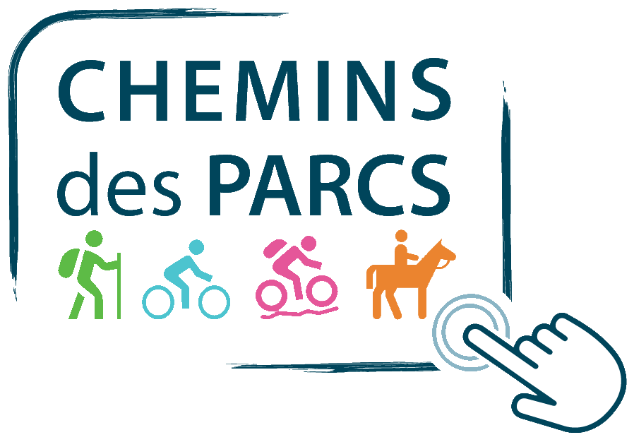 Le chemin des taureaux et de la vigne à vélo  France Provence-Alpes-Côte d'Azur Bouches-du-Rhône Arles 13200
