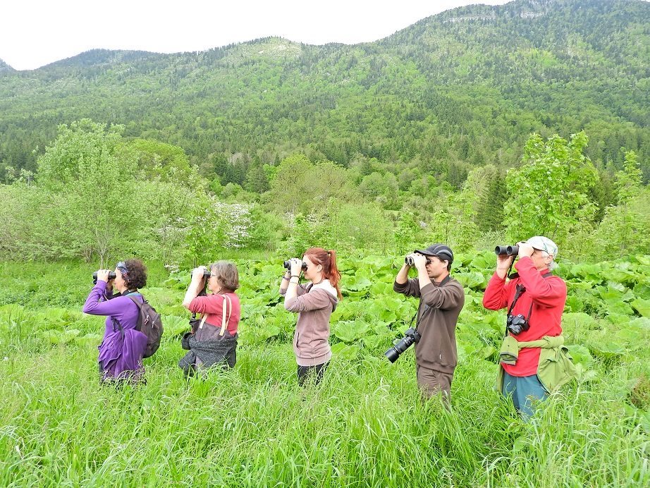 En pleine observation !