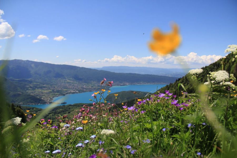 Lac Annecy Rando alpine