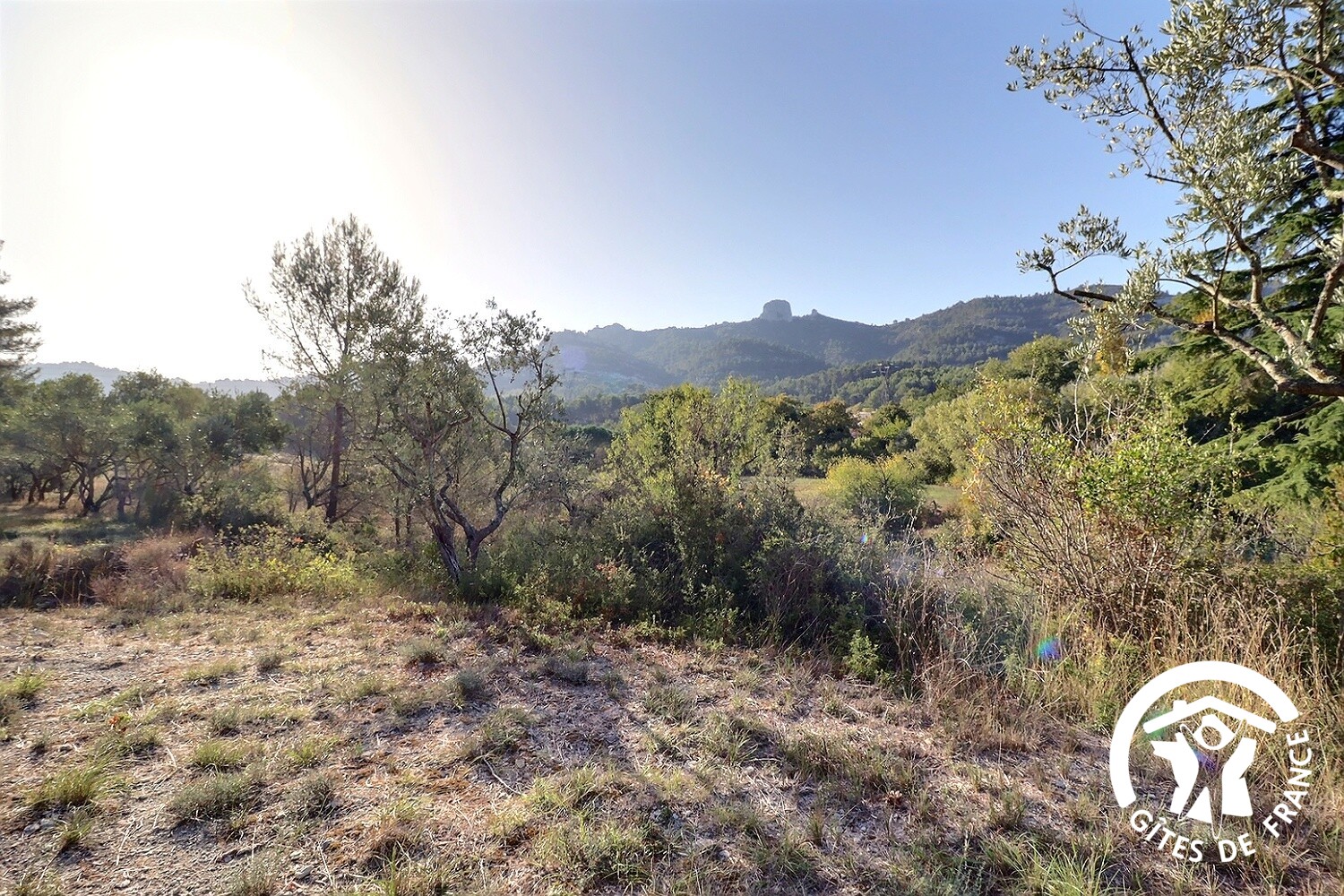 Grand Puech, Simiane-Collongue - photo 37