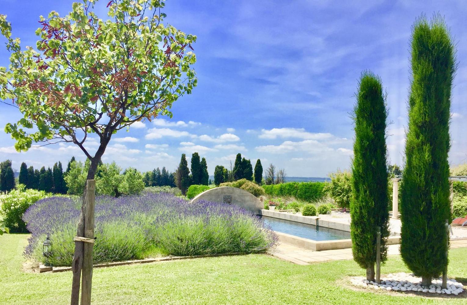Les Gîtes Maussane - Le Mazet De Maïs, Maussane-les-Alpilles - photo 13