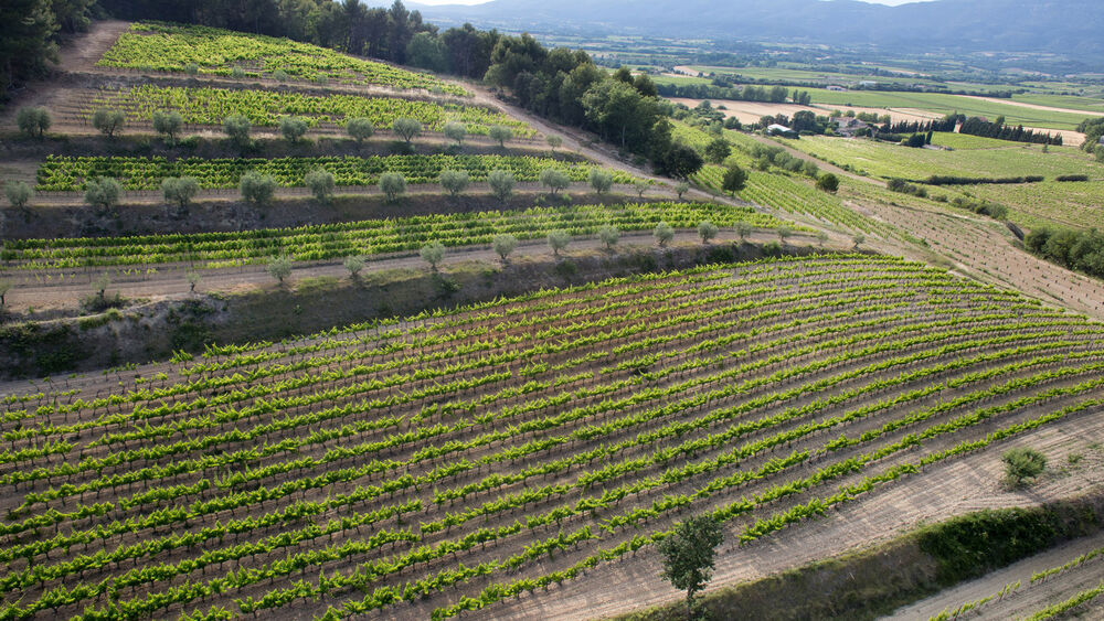 Domaine des marchands