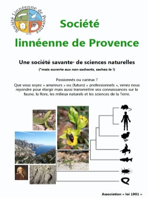 Société Linéenne de Provence