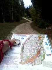 Parcours d'orientation