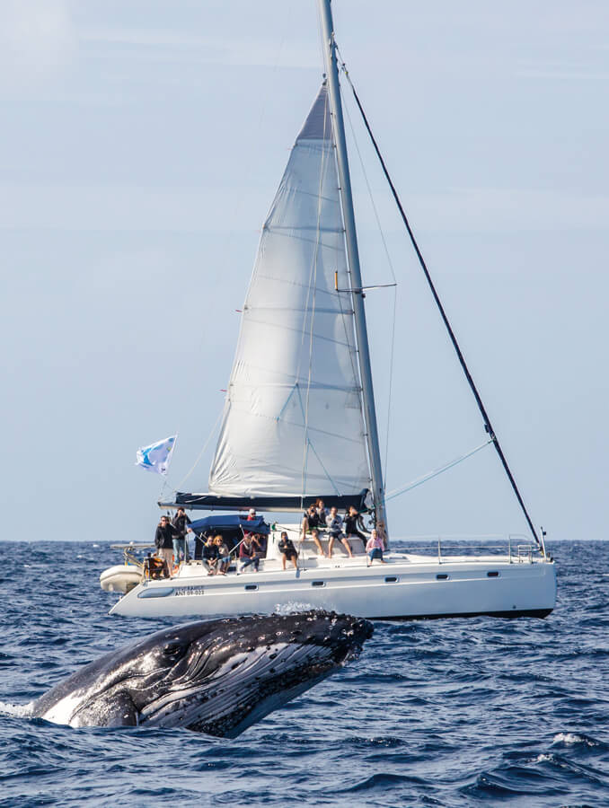 Sortie catamaran