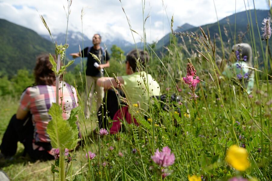 Animation Maison Lieutenant 4