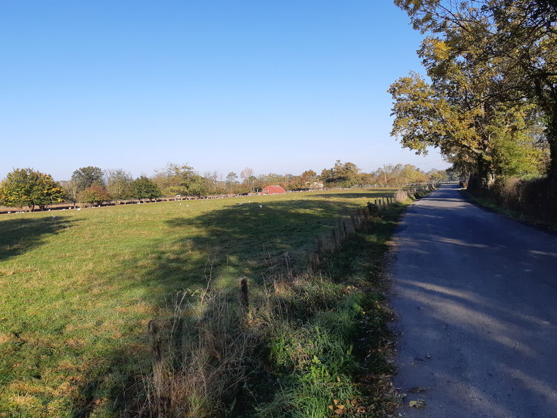 Attignat - Confluence de la Reyssouze et du Jugnon