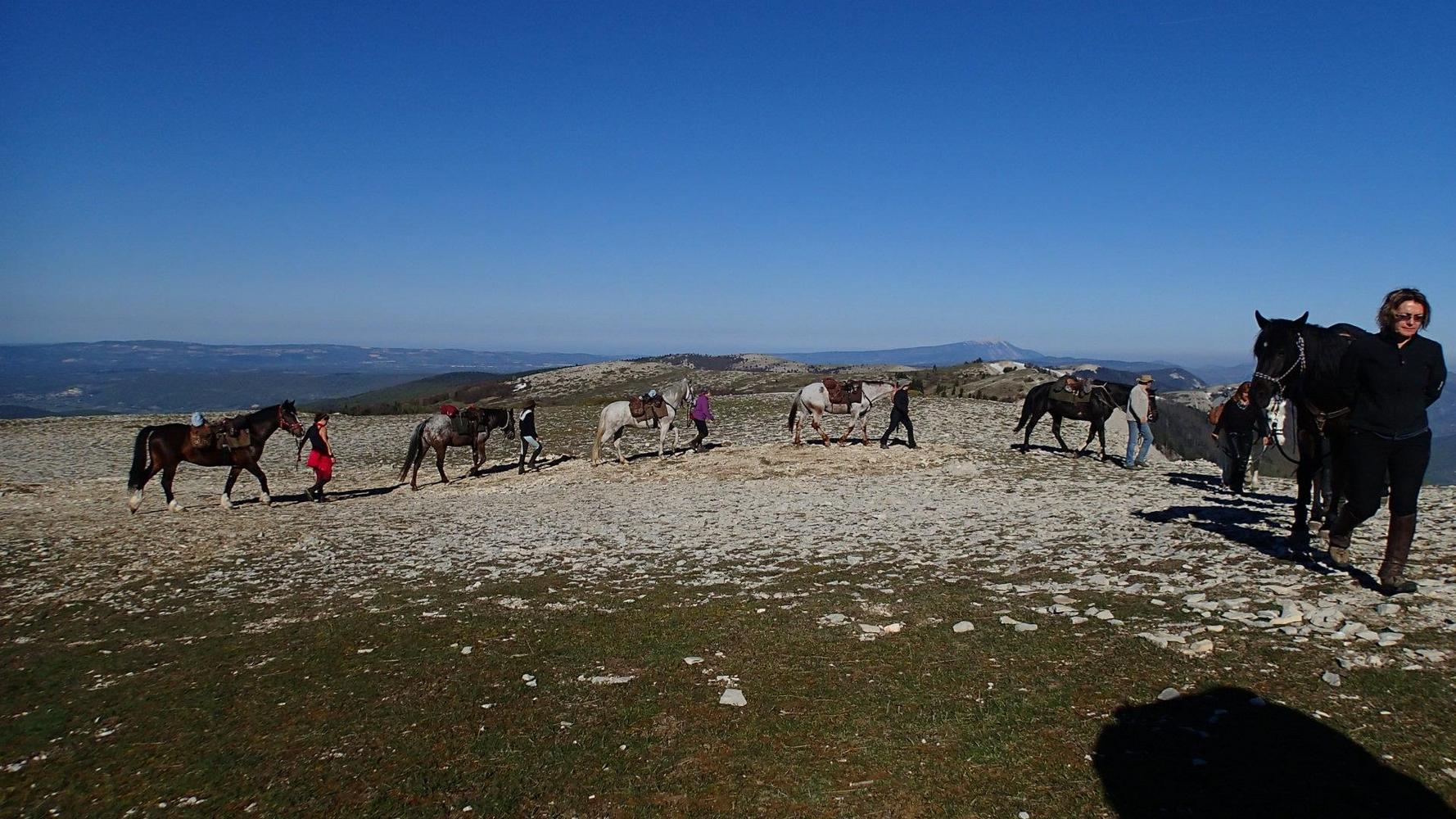 La Provence à cheval, Cadolive - photo 7