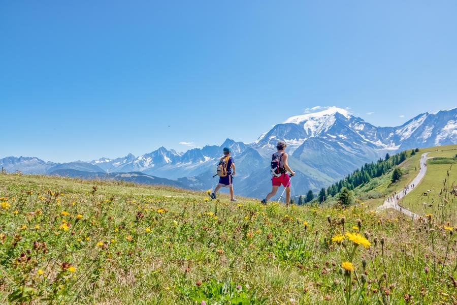 Crête du Mont d'Arbois