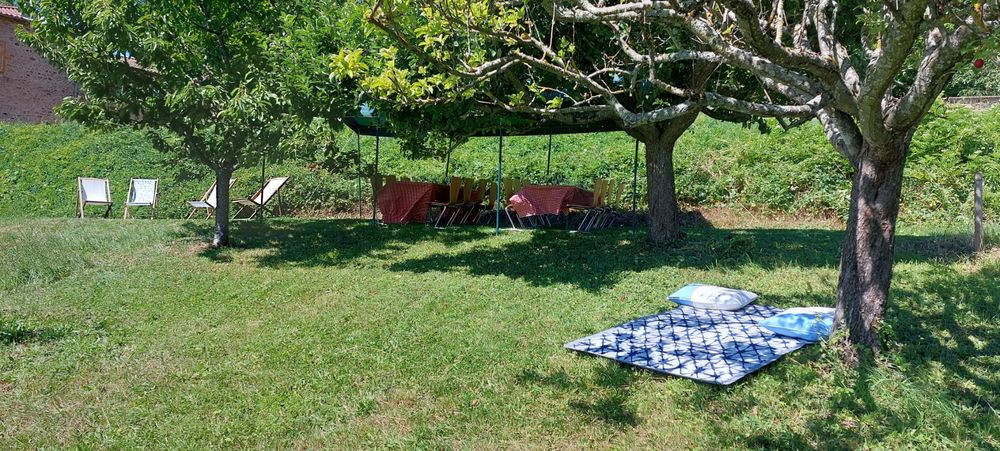 Pique-nique dans les vignes