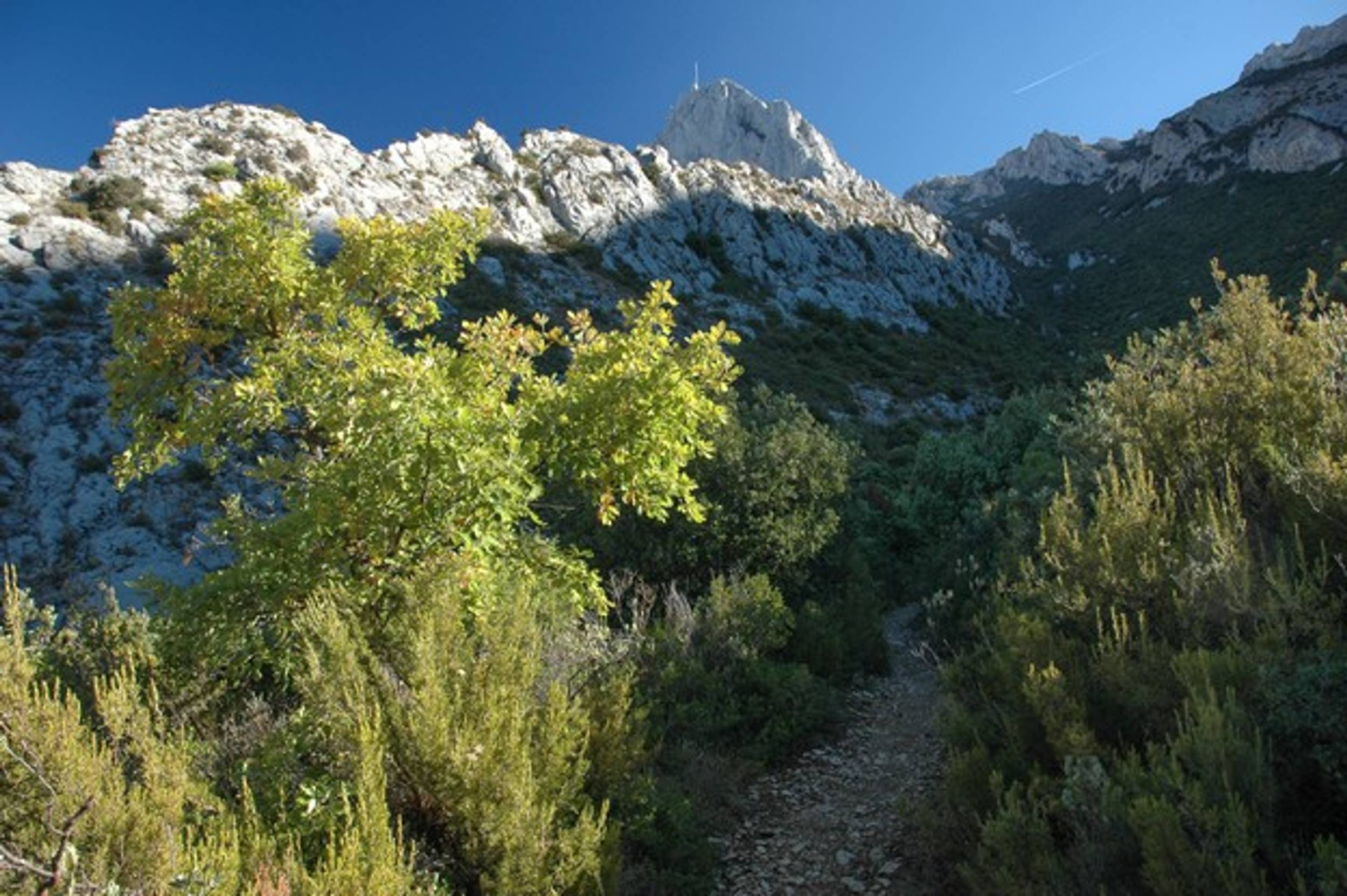 GÉMENOS - Le sentier de la glacière, Gémenos - photo 4