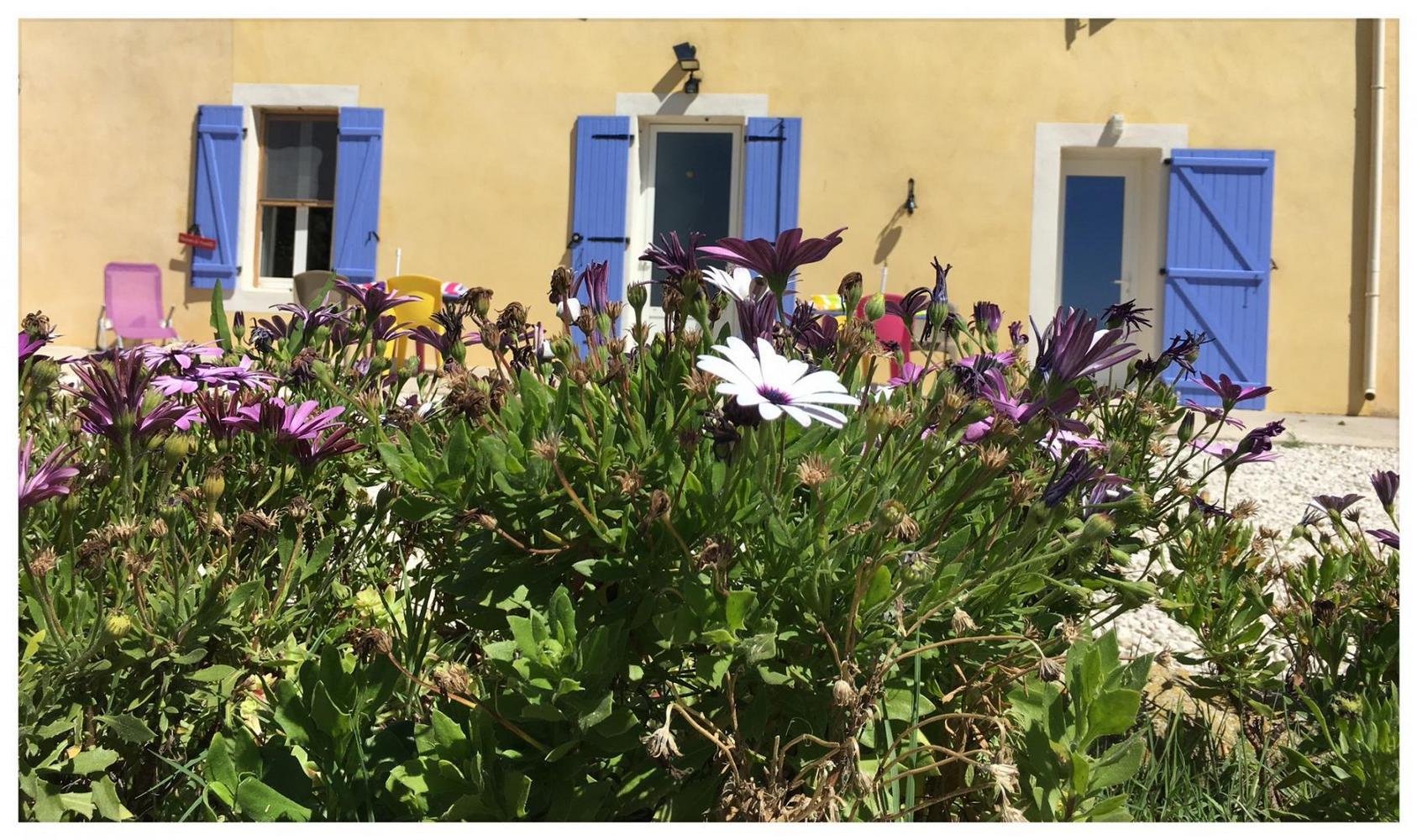L'Etoile, Saintes-Maries-de-la-Mer - photo 15