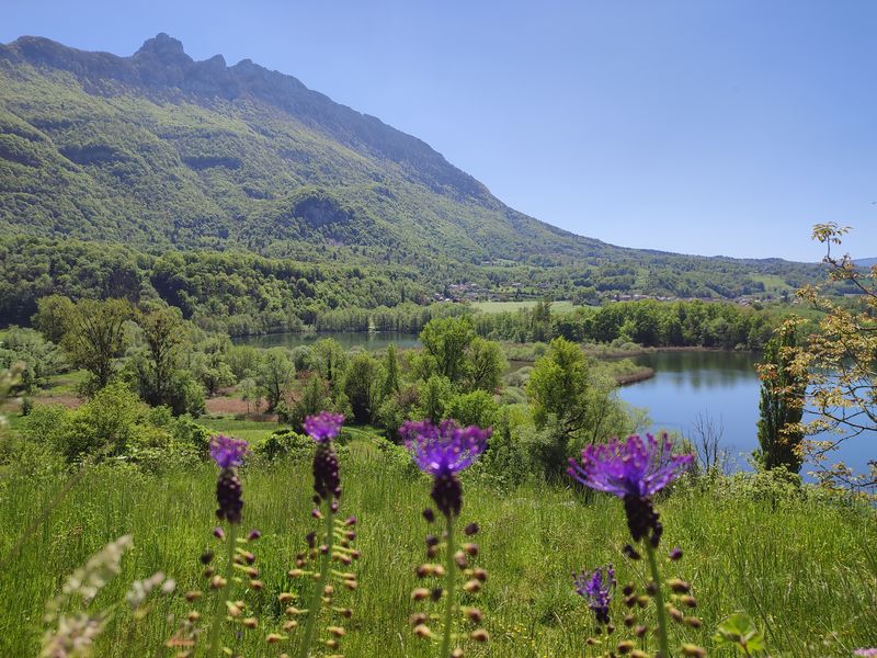 Randonnée pédestre Lacs et marais de St-Jean-de-Chevelu