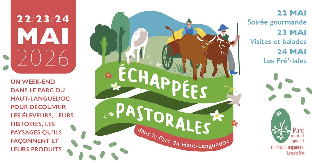 Echappées pastorales : visite de la ferme et atelier laine
