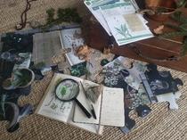 culture_cailloux_escape_game.jpg