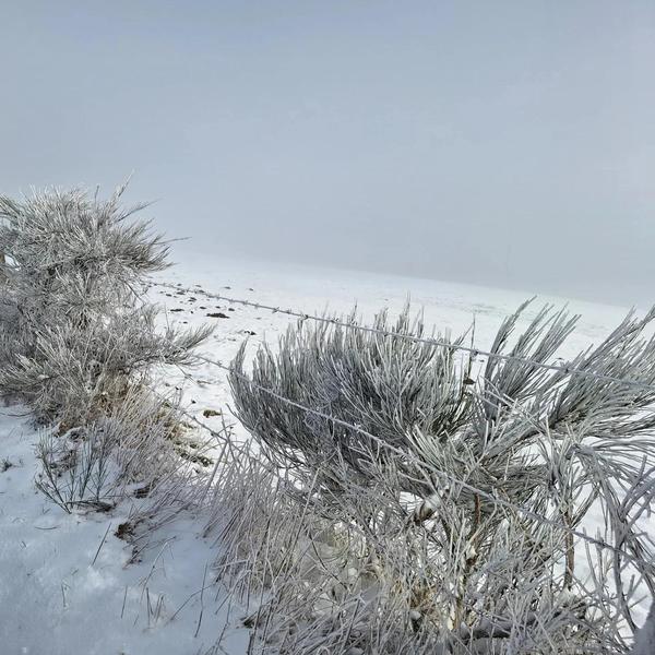 Le pré bleu de Marnand grand cottage