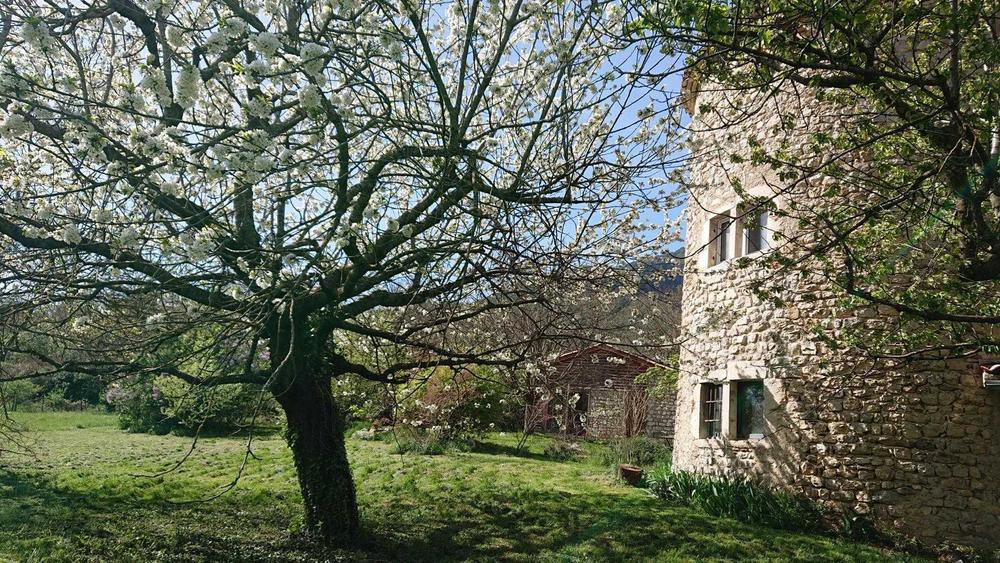 La tour médiévale depuis le jardin