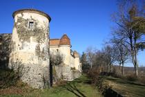 Château de Goutelas