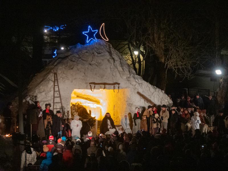 Crèche vivante Le 24 déc 2024