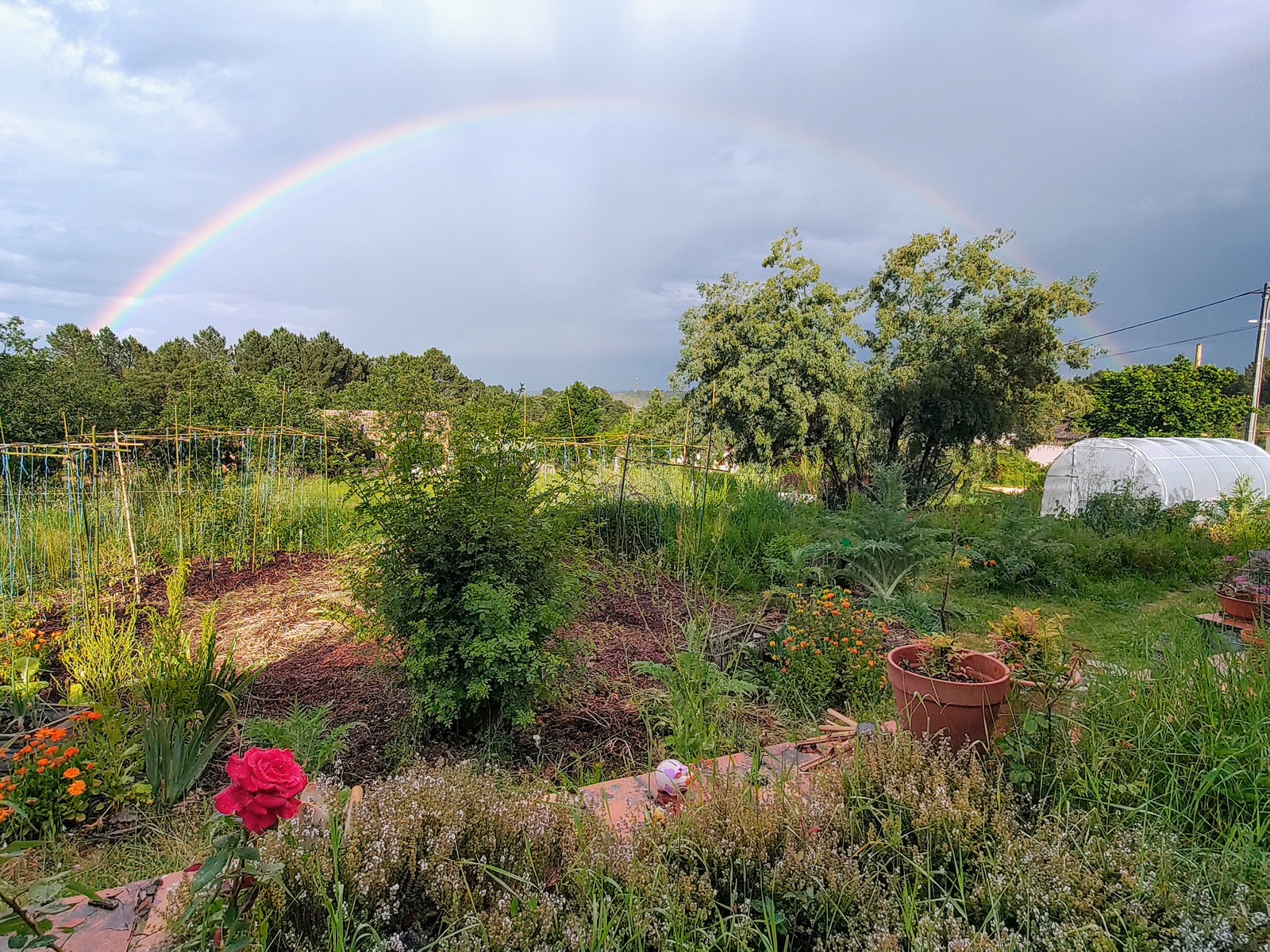 Exposition photo au jardin solidaire et partagé