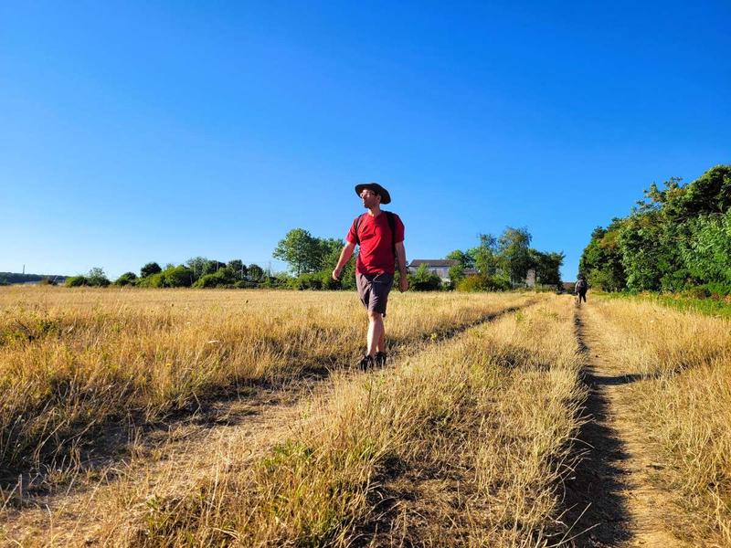 Entre champs et forêts autour de Nozay 