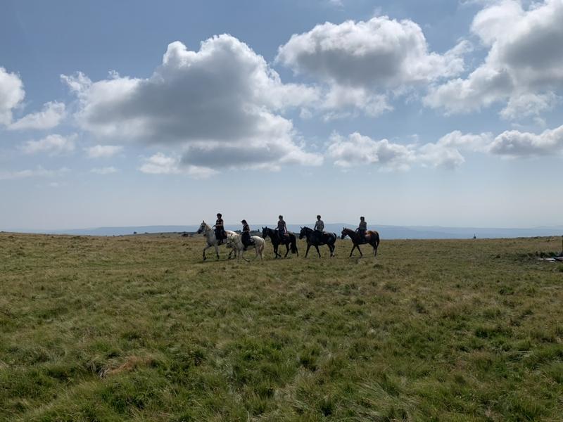 Entre ciel et terre - Balades et randonnées à cheval