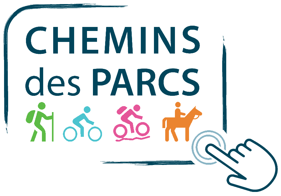 Des flamants roses et du sel à vélo