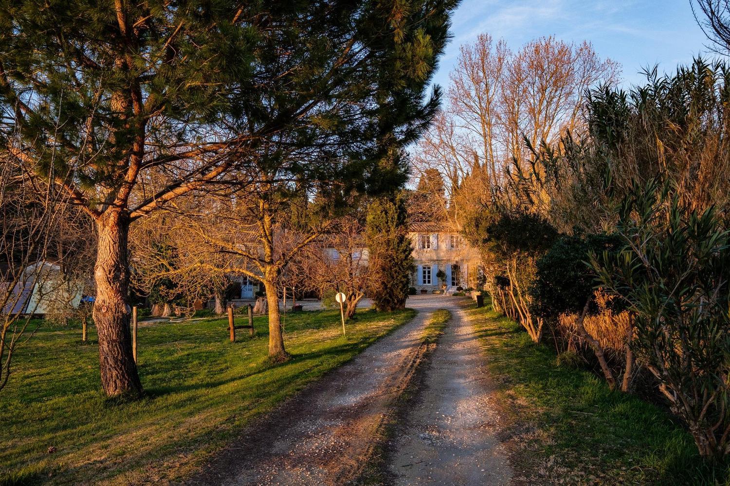 La Treille, Arles - photo 9
