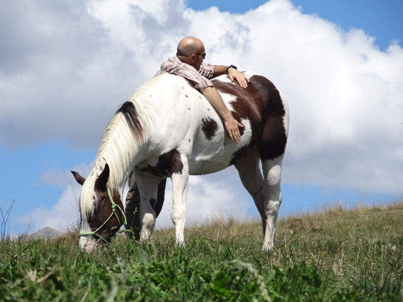 Cavalcades Pèlerines