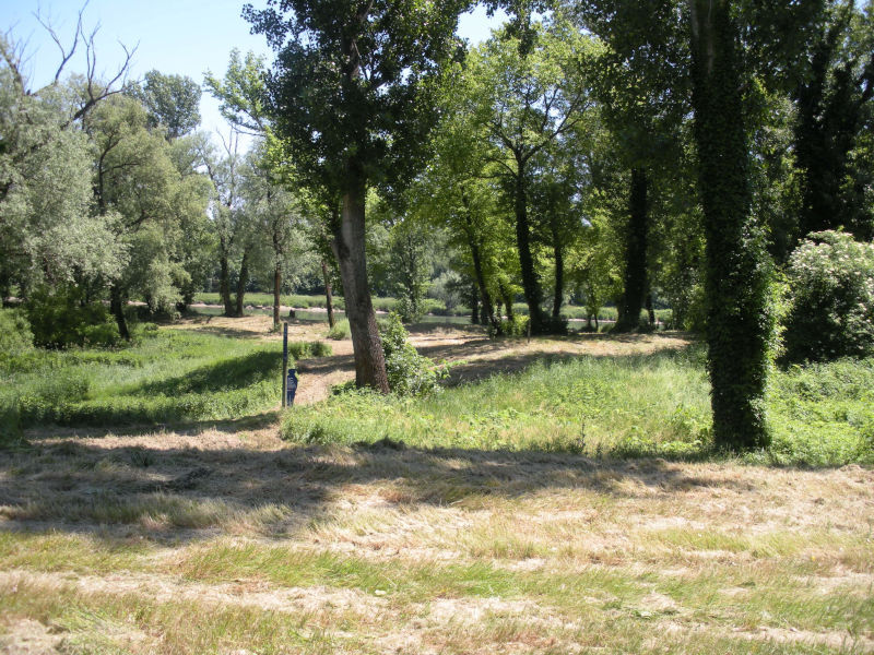 Iles et lones du Rhône