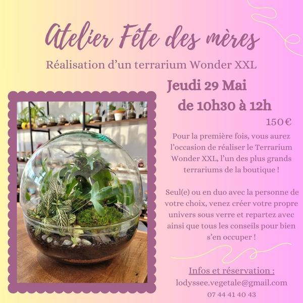 Atelier spécial Fête des mères - Terrarium XXL