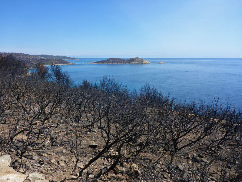Incendies du Cap Lardier