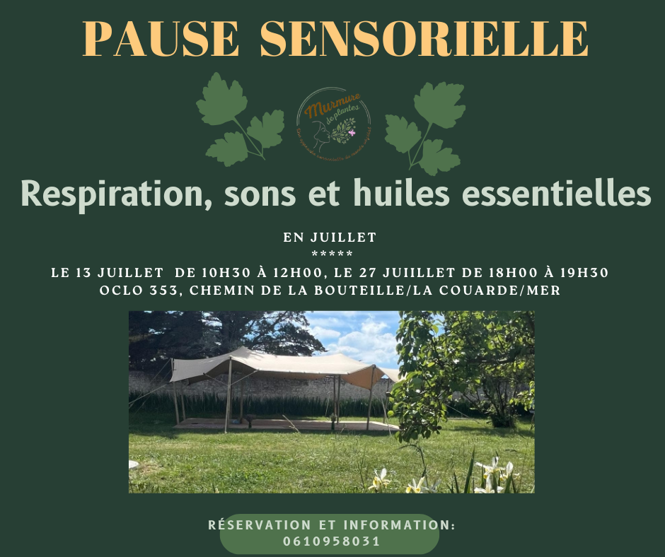 Atelier de Médiation olfactive et sonore - Pause Sensorielle avec OCLO
