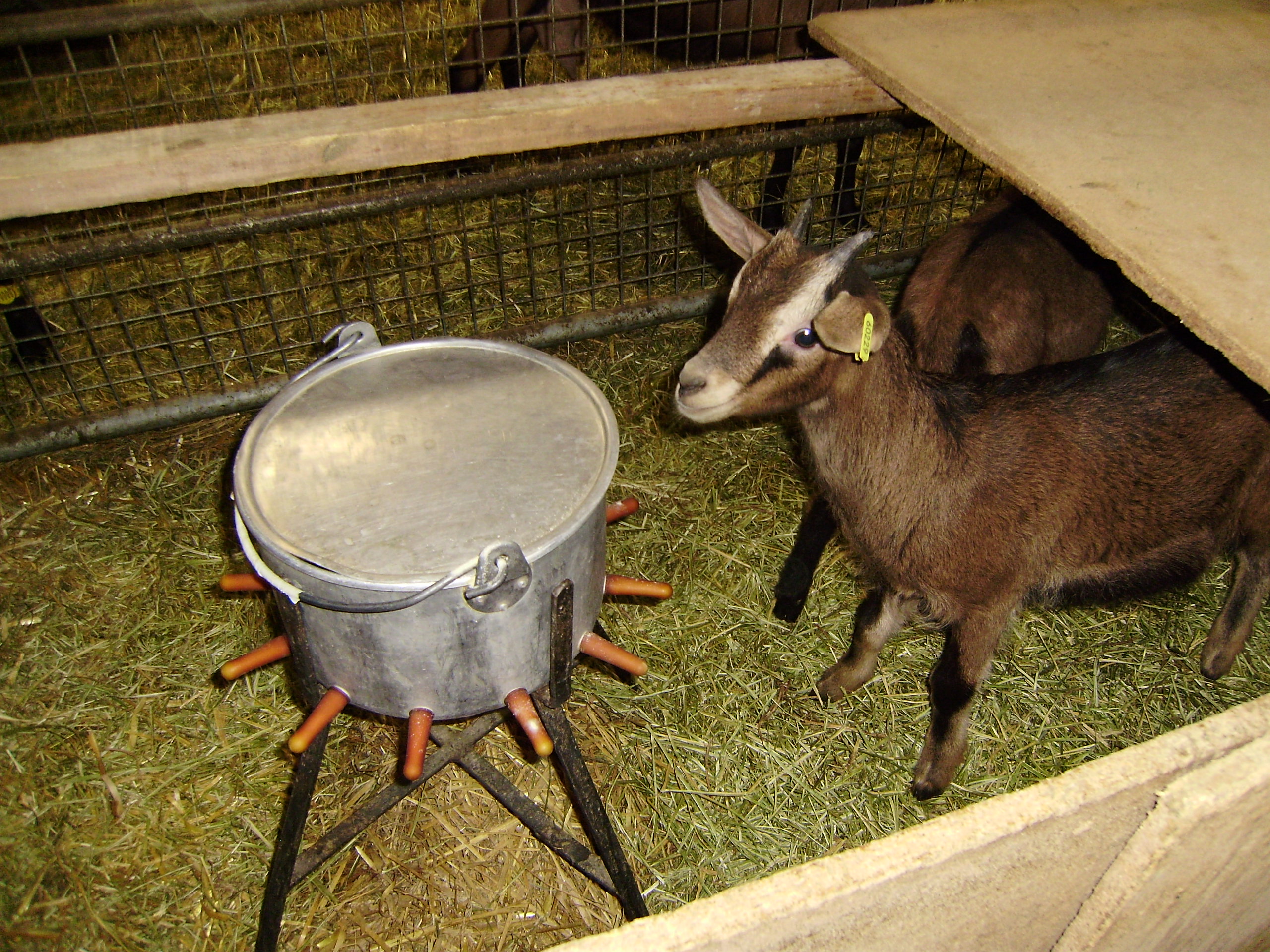 Visite ferme