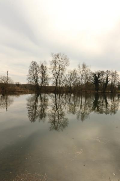 Espace Naturel Sensible de Bouvesse-Quirieu – Site des étangs Cotte_Bouvesse-Quirieu