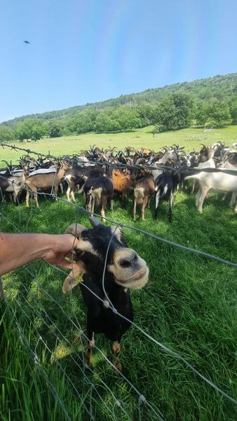 Liaison VTT (L4) Simandre sur Suran - Cize (Suran-Ain)