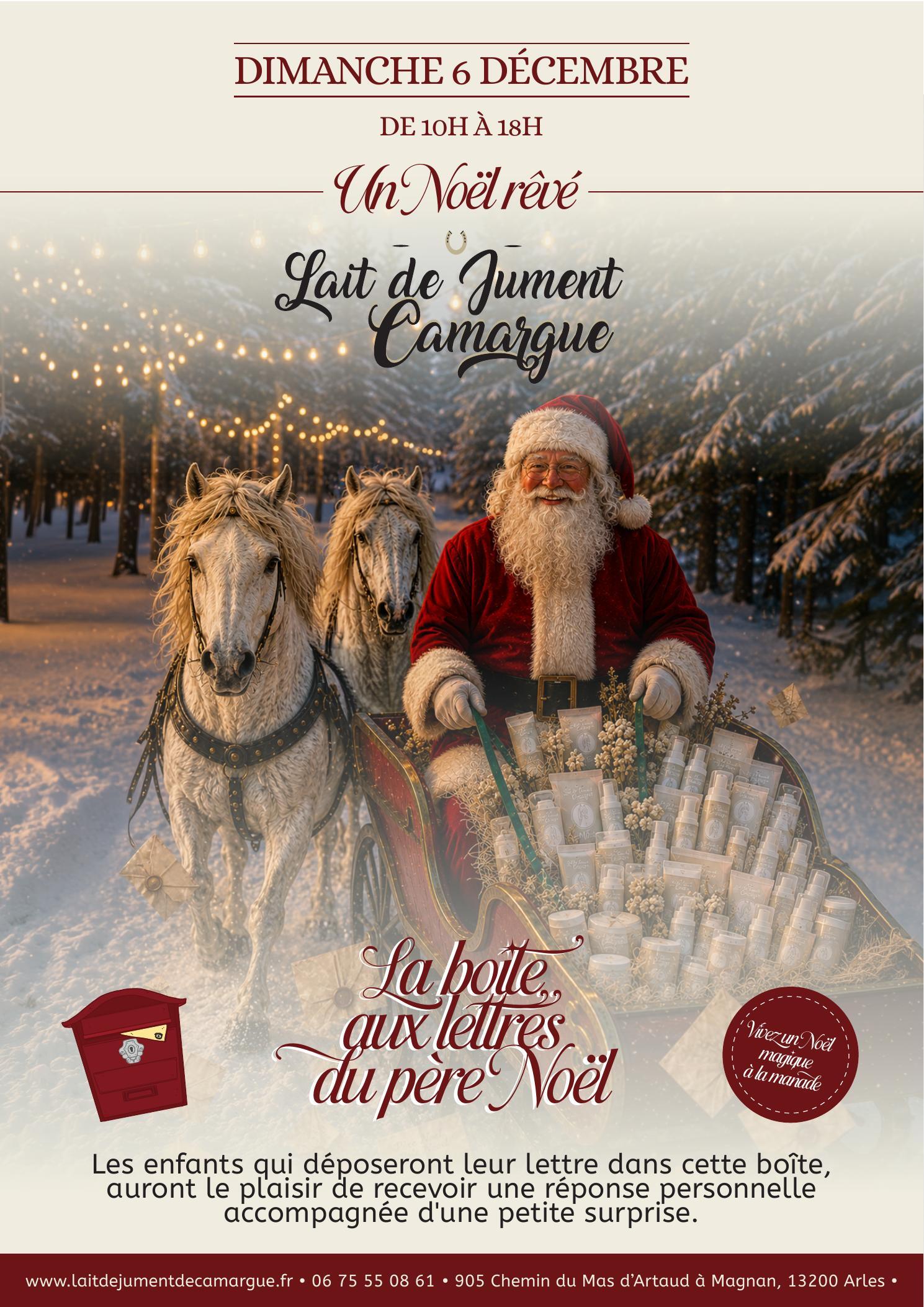 Un noël rêvé