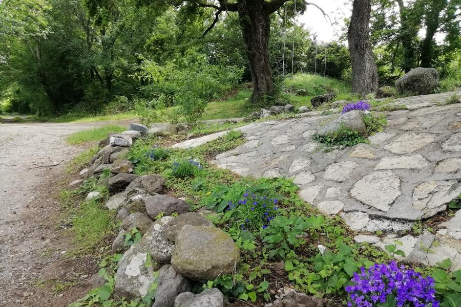 Entrée de Sylilanse - Sylilanse - Gîte Chante Mûre à St Pons