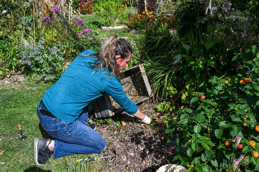 Atelier - Jardinage zéro déchet vert
