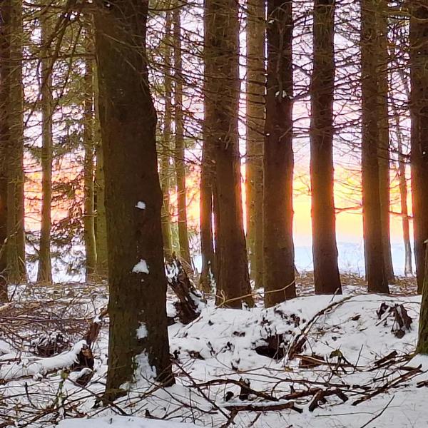 Le pré bleu de Marnand grand cottage
