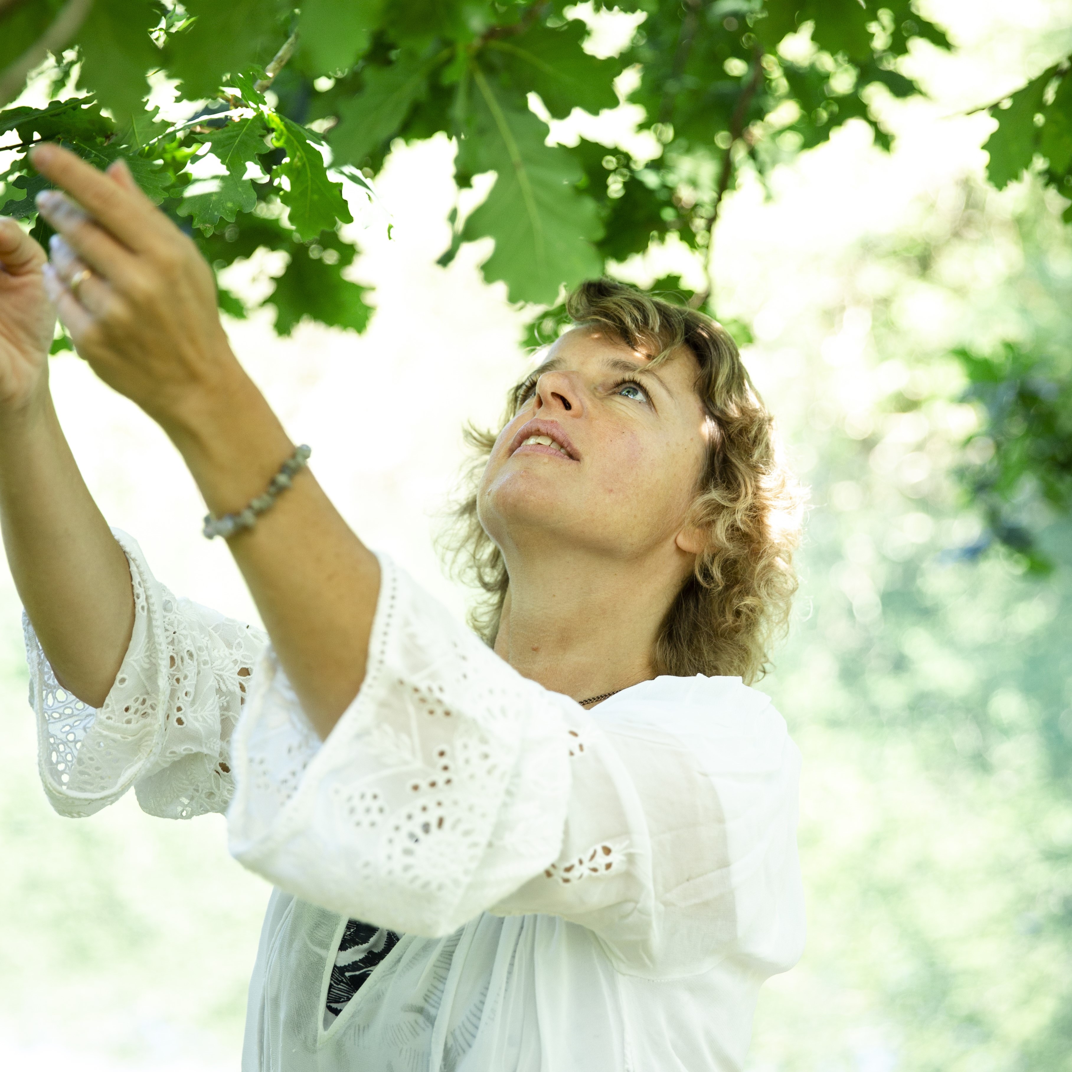 Balade ressourçante - Au cœur des arbres