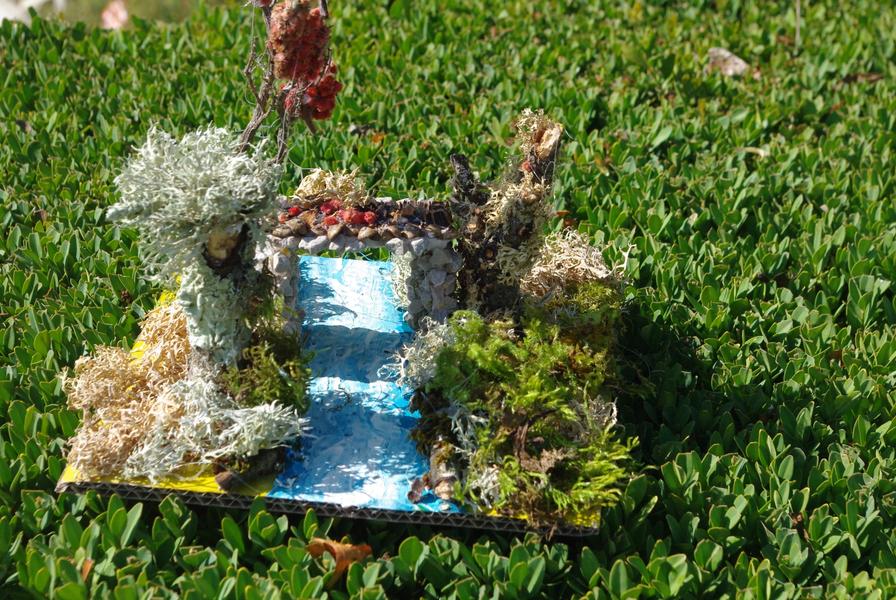 L'été à Salagon : Atelier forêt miniature_Mane