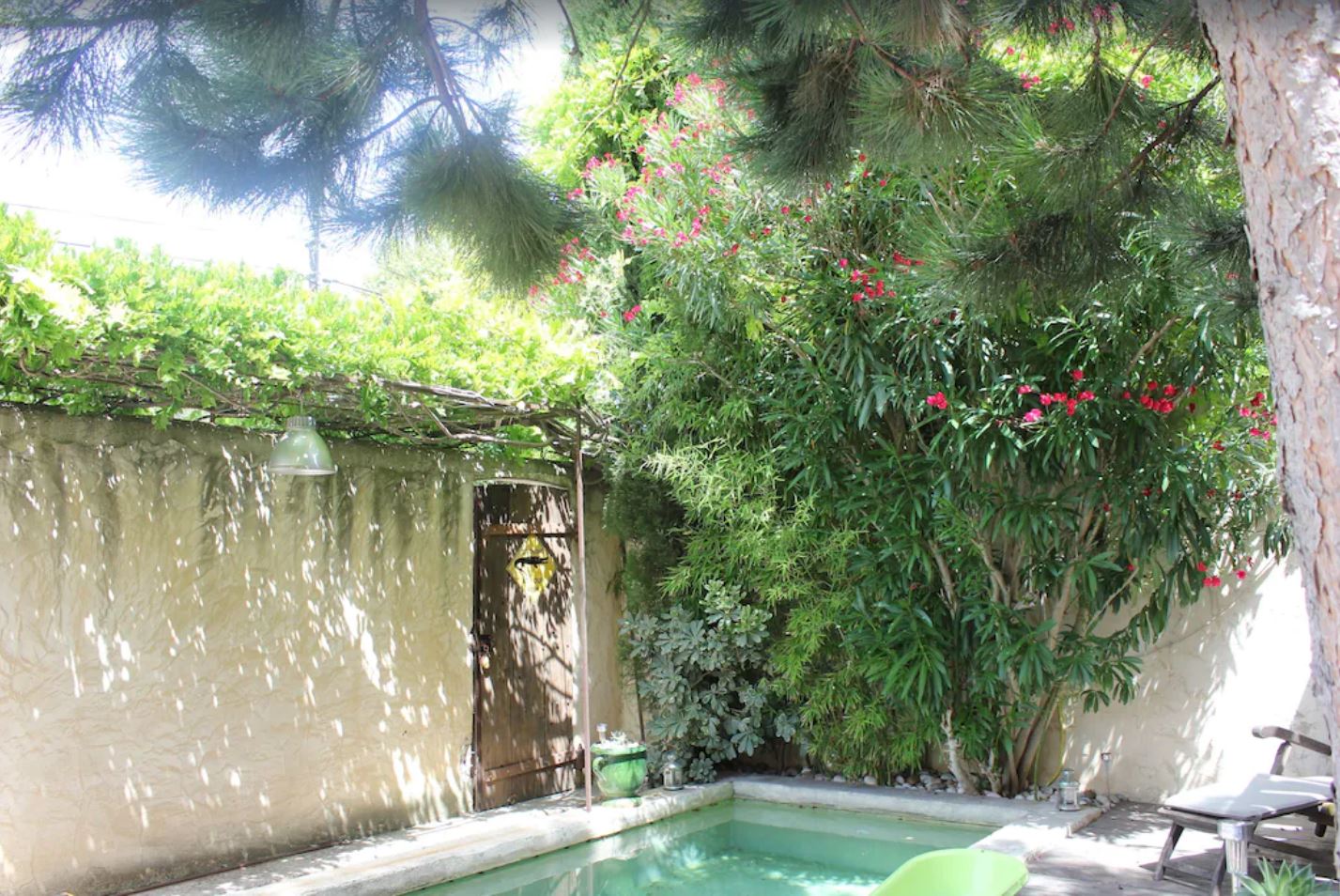 Pétrarque - photo 5