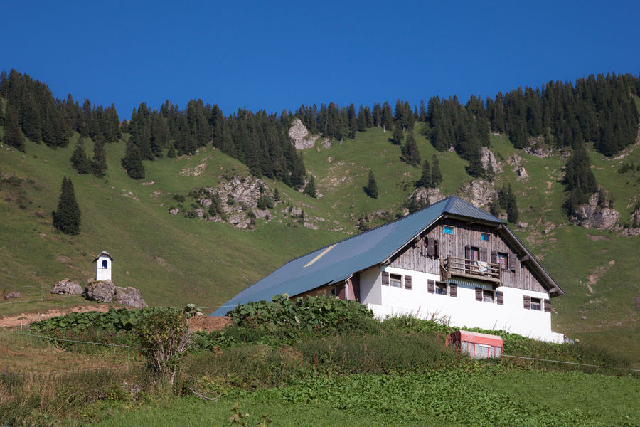 Goûter à l'alpage de Barbossine