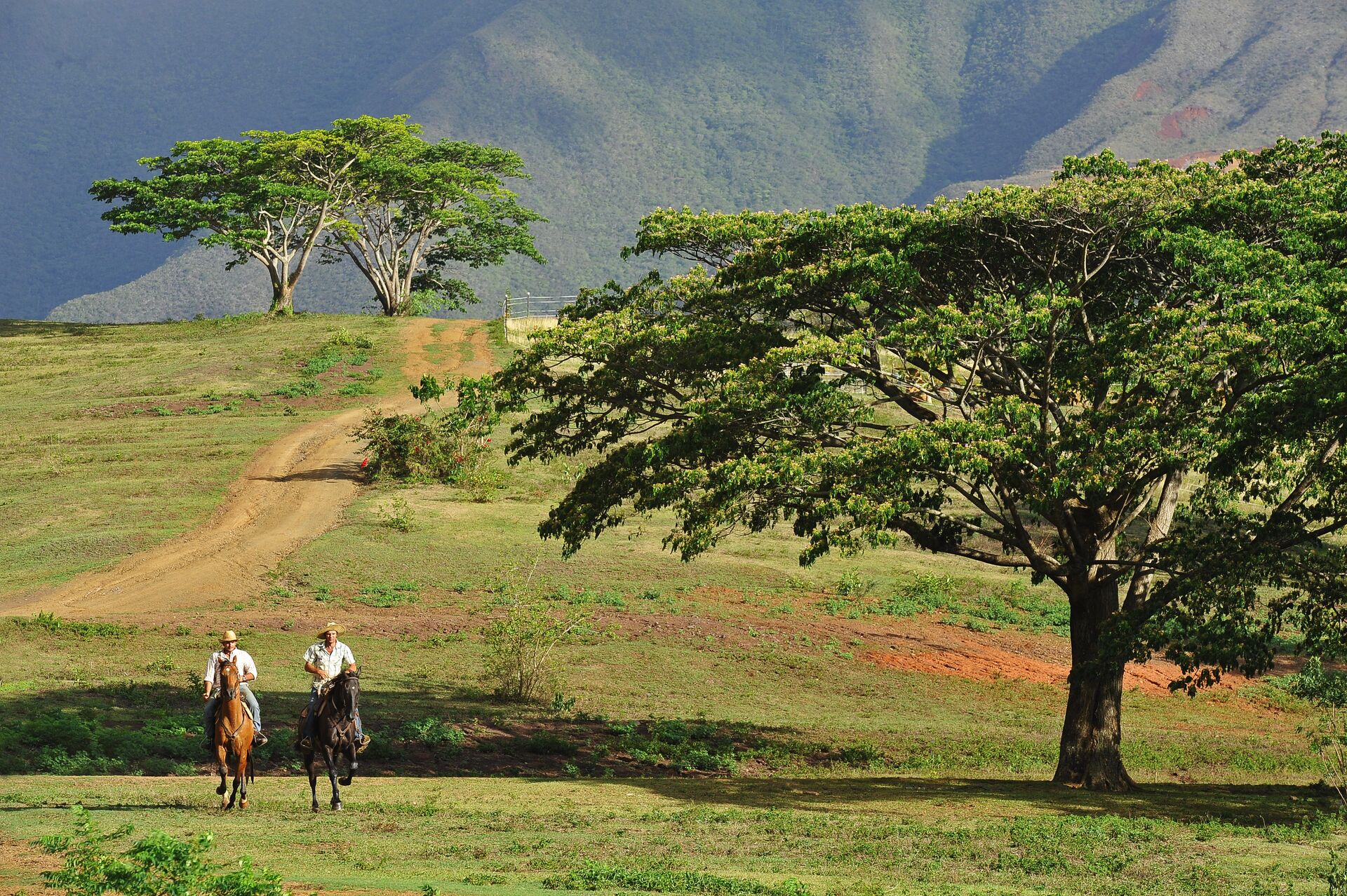 Horseback riding at Yala Ranch